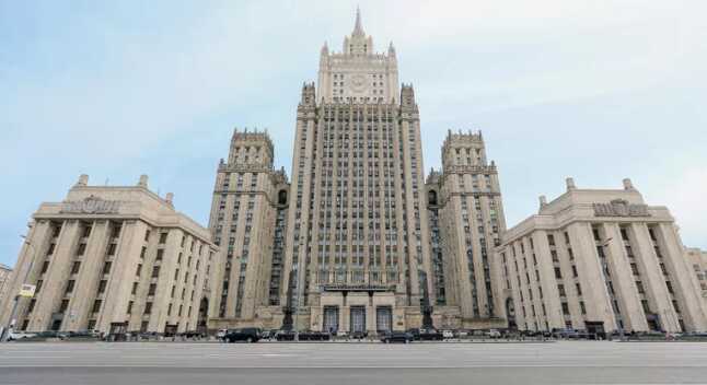 МИД РФ прокомментировал миграционный рейд, вызвавший дипломатический скандал