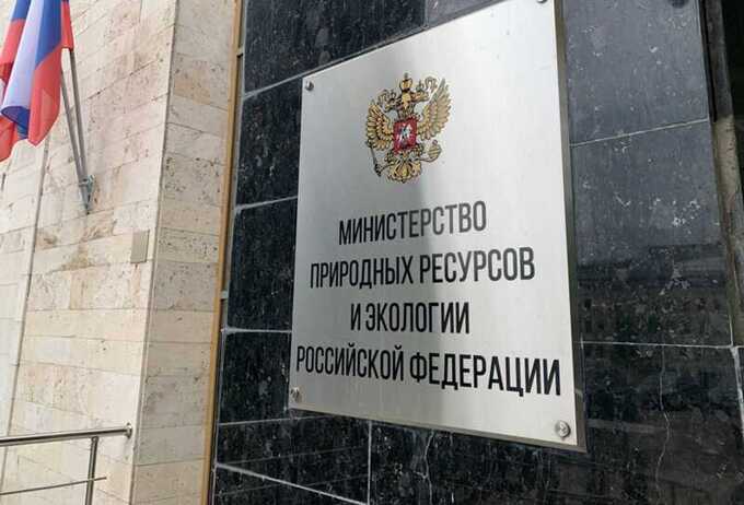 Шувалов и ВЭБ вырубают лес у Байкала под видом его «восстановления»