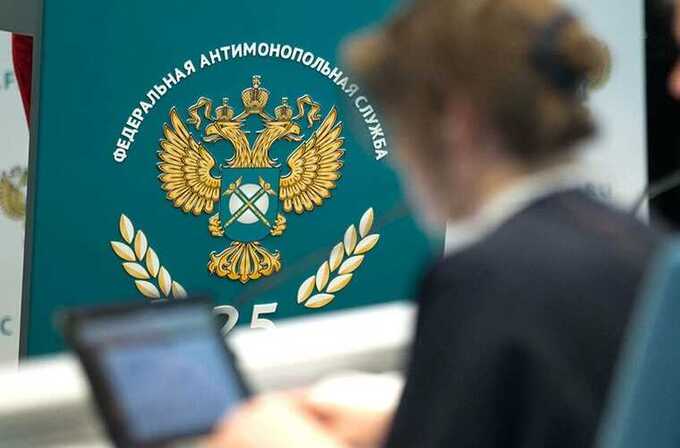 «Современные системы» и «Ангара Энерго» разыгрывали госконтракты, утверждает ФАС
